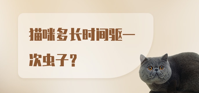 猫咪多长时间驱一次虫子？