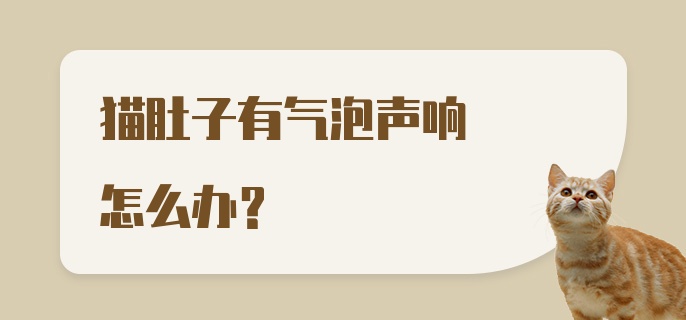 猫肚子有气泡声响怎么办？