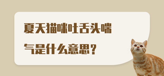 夏天猫咪吐舌头喘气是什么意思?