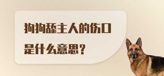 狗狗舔主人的伤口是什么意思?