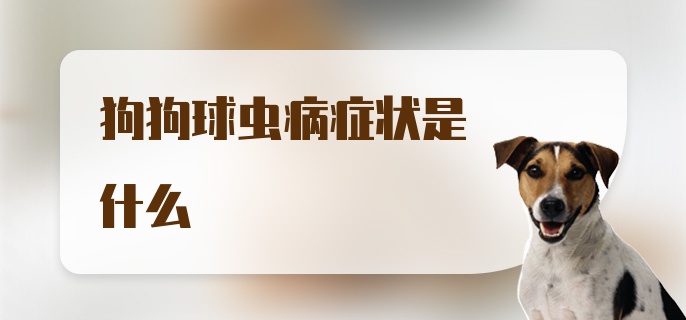 狗狗球虫病症状是什么