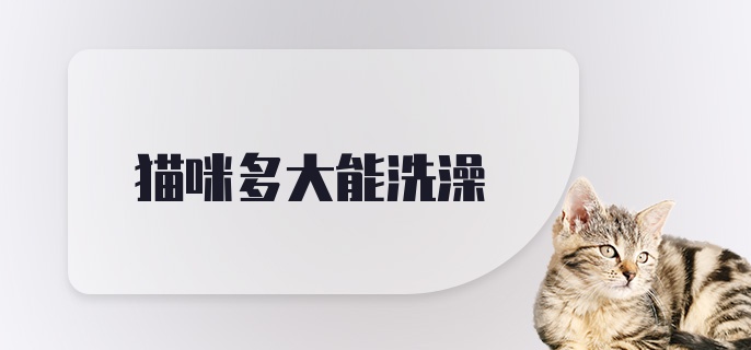 猫咪多大能洗澡