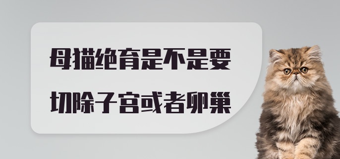 母猫绝育是不是要切除子宫或者卵巢