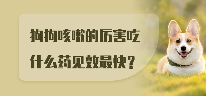 狗狗咳嗽的厉害吃什么药见效最快？