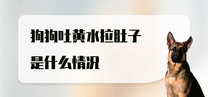 狗狗吐黄水拉肚子是什么情况