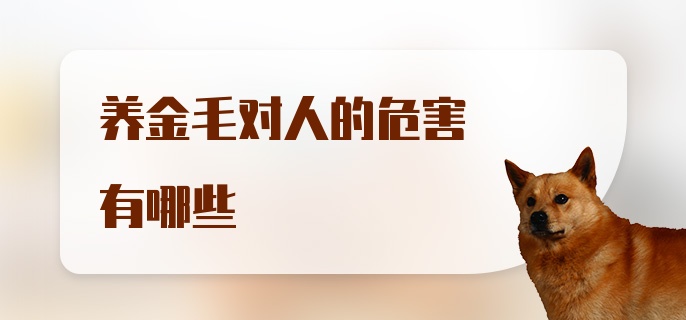 养金毛对人的危害有哪些