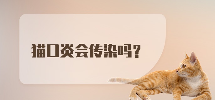 猫口炎会传染吗？