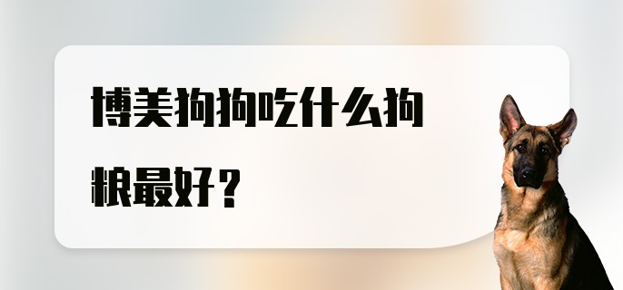 博美狗狗吃什么狗粮最好？