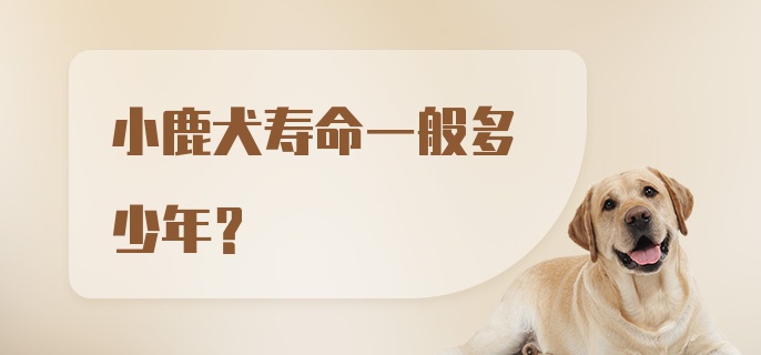 小鹿犬寿命一般多少年？