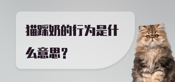 猫踩奶的行为是什么意思？