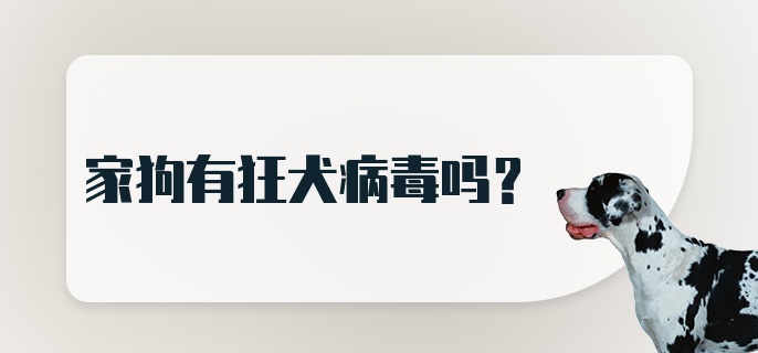 家狗有狂犬病毒吗？