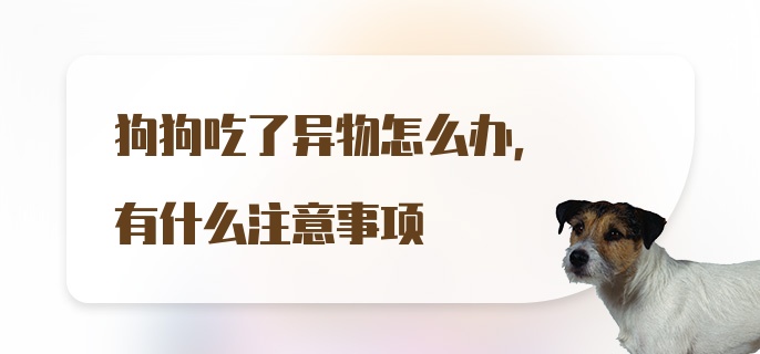 狗狗吃了异物怎么办，有什么注意事项