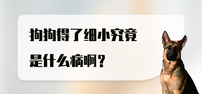 狗狗得了细小究竟是什么病啊?