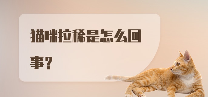 猫咪拉稀是怎么回事？