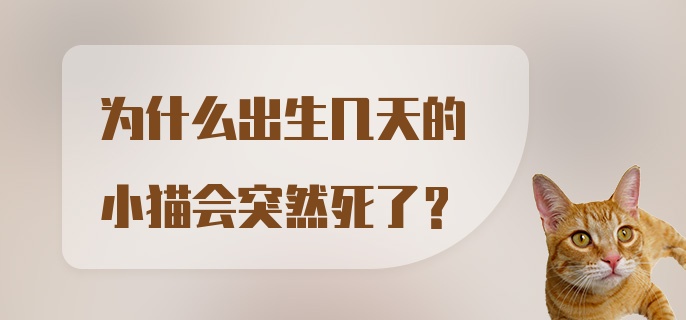 为什么出生几天的小猫会突然死了？