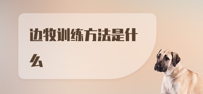 边牧训练方法是什么