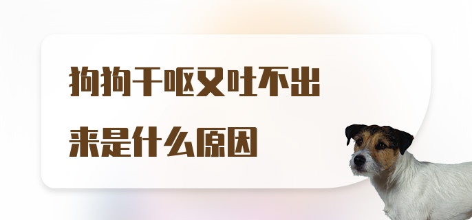 狗狗干呕又吐不出来是什么原因