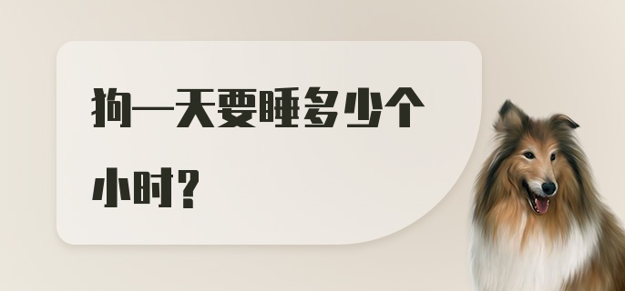 狗—天要睡多少个小时？