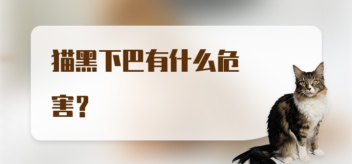 猫黑下巴有什么危害？