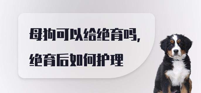 母狗可以给绝育吗，绝育后如何护理