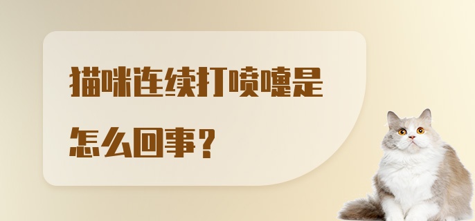 猫咪连续打喷嚏是怎么回事？