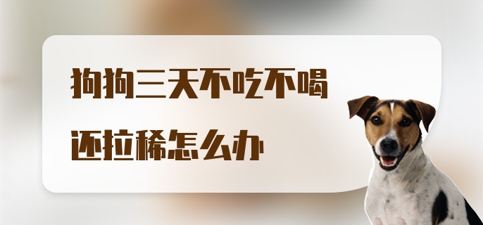 狗狗三天不吃不喝还拉稀怎么办