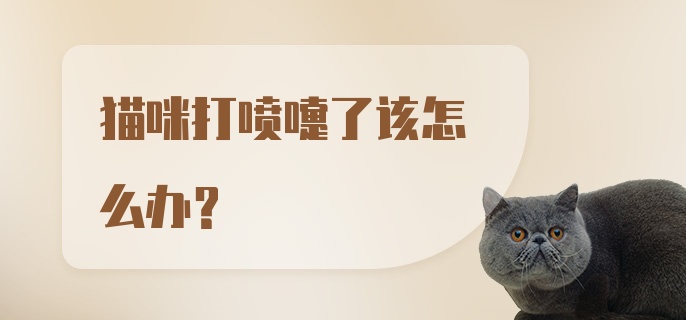 猫咪打喷嚏了该怎么办？