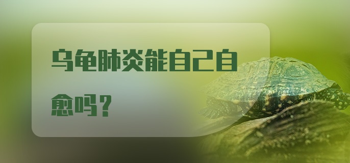 乌龟肺炎能自己自愈吗？