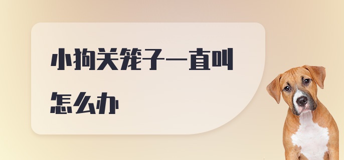 小狗关笼子一直叫怎么办