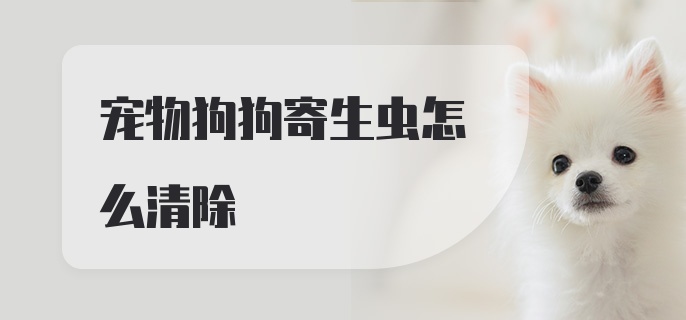 宠物狗狗寄生虫怎么清除