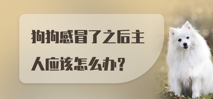 狗狗感冒了之后主人应该怎么办？