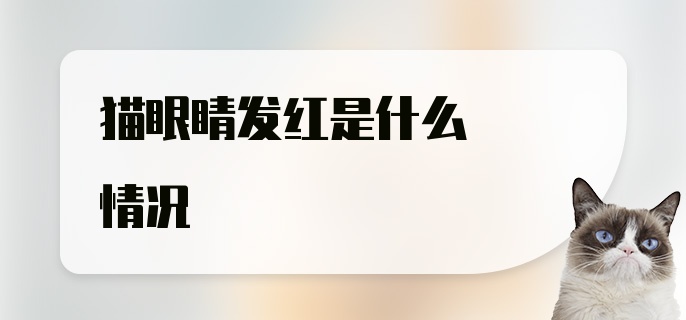 猫眼睛发红是什么情况