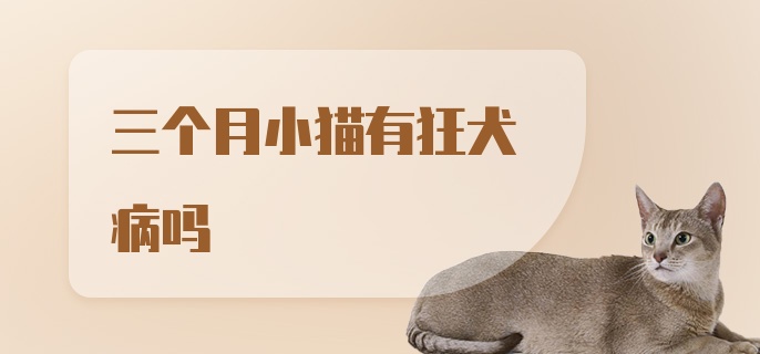 三个月小猫有狂犬病吗