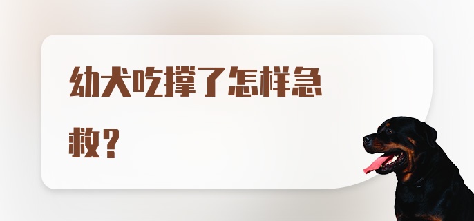 幼犬吃撑了怎样急救？