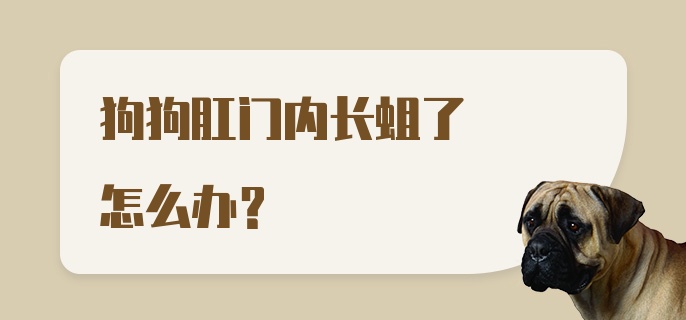 狗狗肛门内长蛆了怎么办？