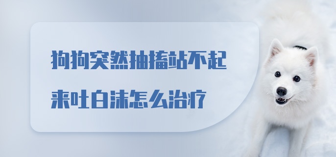 狗狗突然抽搐站不起来吐白沫怎么治疗