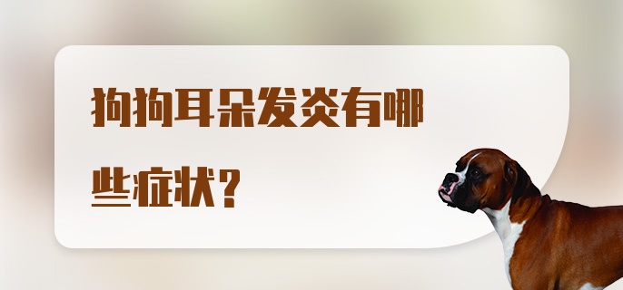 狗狗耳朵发炎有哪些症状？