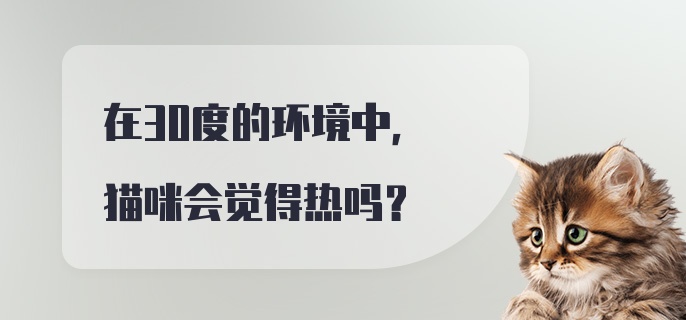 在30度的环境中，猫咪会觉得热吗？