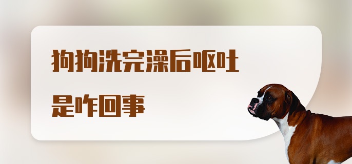 狗狗洗完澡后呕吐是咋回事