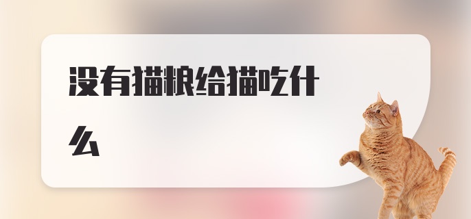 没有猫粮给猫吃什么