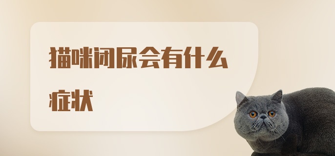 猫咪闭尿会有什么症状