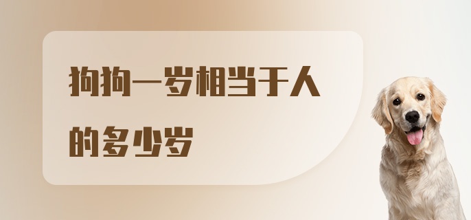 狗狗一岁相当于人的多少岁