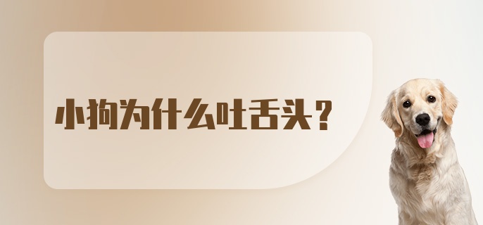 小狗为什么吐舌头？