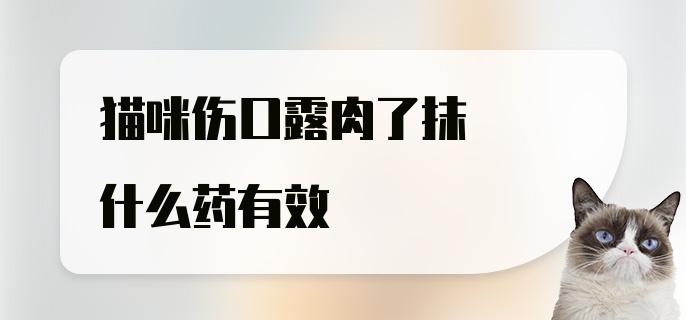 猫咪伤口露肉了抹什么药有效