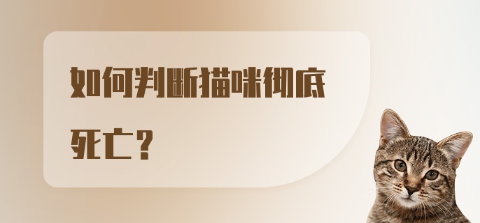 如何判断猫咪彻底死亡？