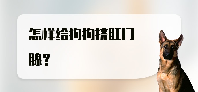 怎样给狗狗挤肛门腺？