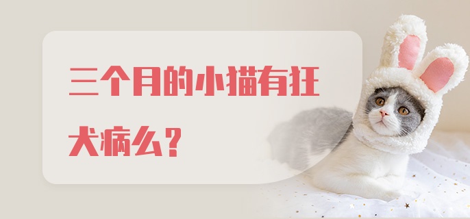 三个月的小猫有狂犬病么?