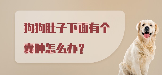 狗狗肚子下面有个囊肿怎么办？