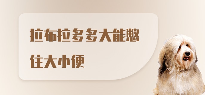 拉布拉多多大能憋住大小便