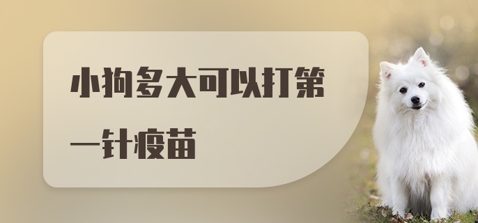 小狗多大可以打第一针疫苗